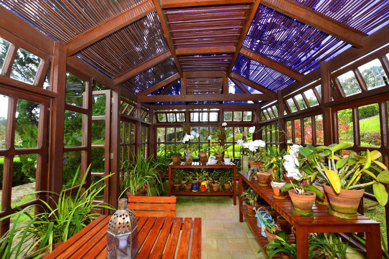 Roots Resort Monte Verde  Eksteriør billede